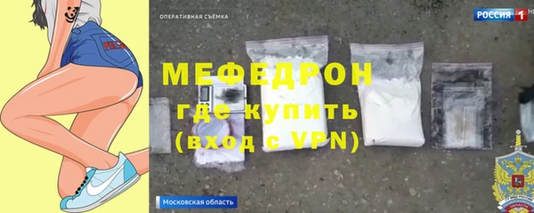 трава Няндома
