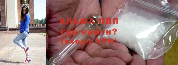 трава Няндома