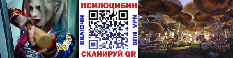 Псилоцибиновые грибы GOLDEN TEACHER  Сортавала 